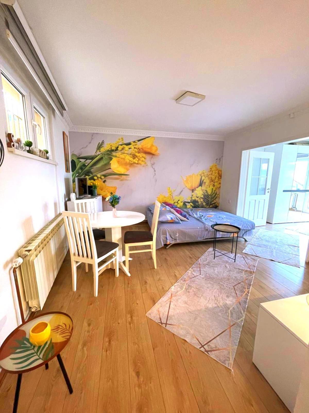 サラエヴォGarden Free Parkingアパートメント 部屋 写真